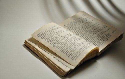 2014年成人高考专升本英语词组复习(三)(system11) 2014年成人高考专升本英语词组复习